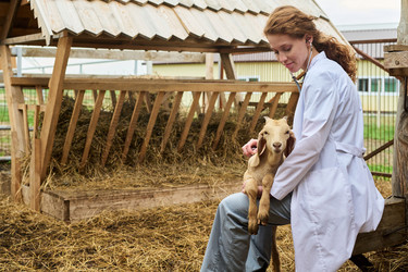 Similar image 21983771