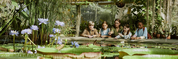 Similar image 21982764