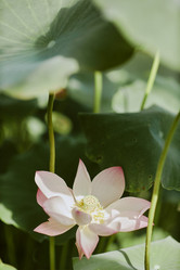 Similar image 21982754