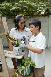 Similar image 21984823