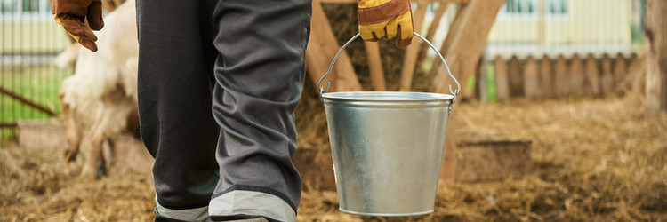 Similar image 21983863