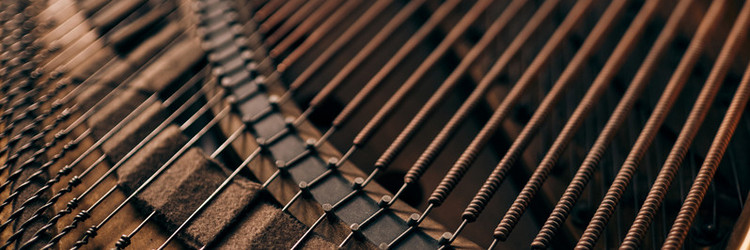 Similar image 21982092