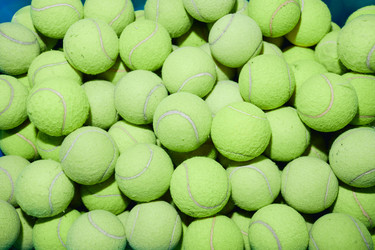 Similar image 21999504