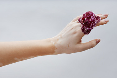 Similar image 22000078