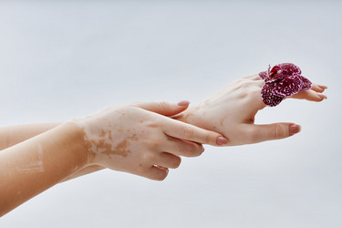 Similar image 22000088