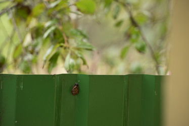 Similar image 22018222