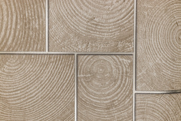 Similar image 22006884