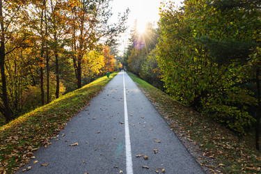 Similar image 22006894