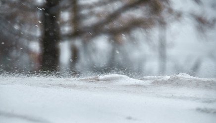 Similar image 22018228