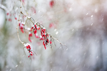 Similar image 22018232