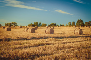 Similar image 22018237