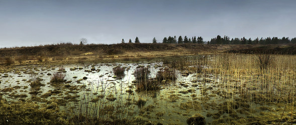 Similar image 22018243