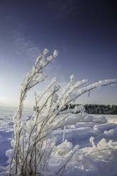 Similar image 22018244