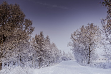 Similar image 22018245