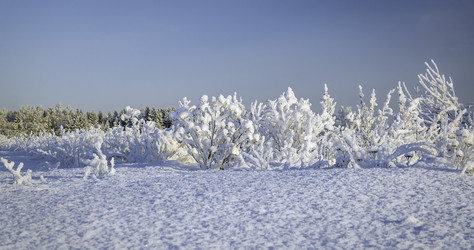 Similar image 22018246