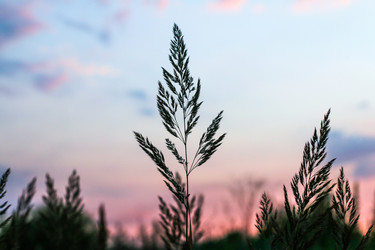 Similar image 22006494