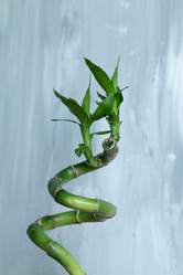 Similar image 22006495