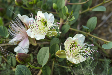 Similar image 21995242