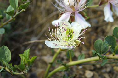 Similar image 21995243