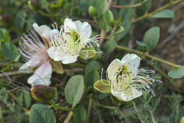 Similar image 21995244