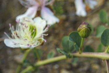 Similar image 21995245