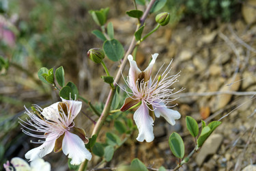 Similar image 21995246