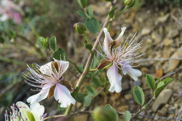 Similar image 21995247