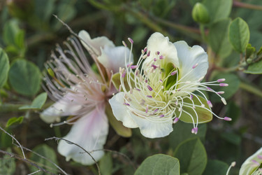 Similar image 21995248