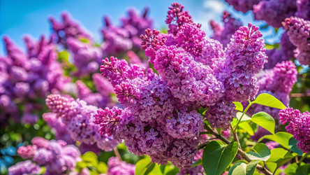 Similar image 21995249