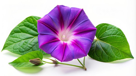 Similar image 21995252