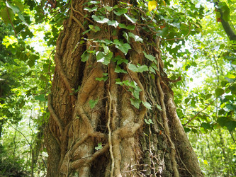 Similar image 21999164