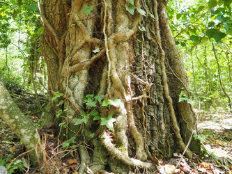 Similar image 21999165