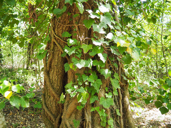 Similar image 21999166