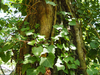 Similar image 21999168