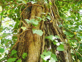 Similar image 21999169