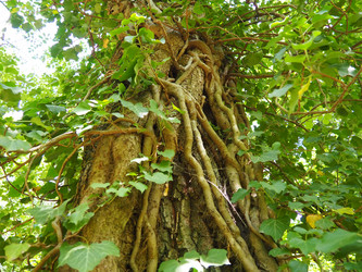 Similar image 21999171