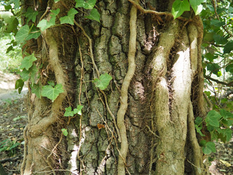 Similar image 21999172