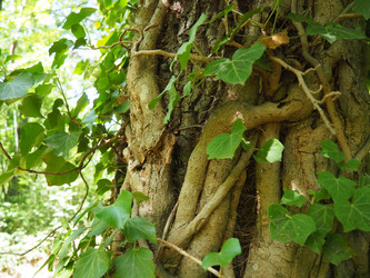 Similar image 21999173