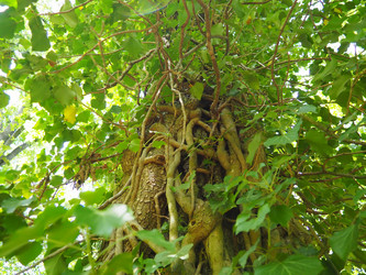 Similar image 21999174