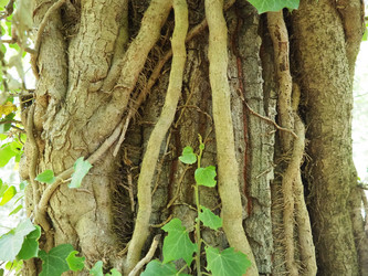 Similar image 21999176