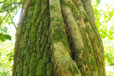 Similar image 21999177