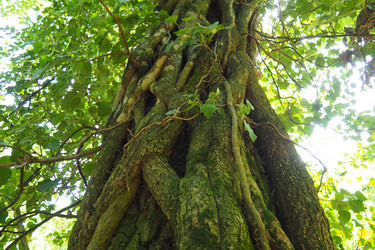 Similar image 21999178