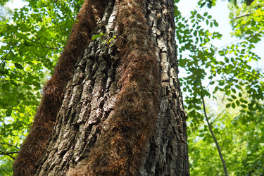 Similar image 21999181