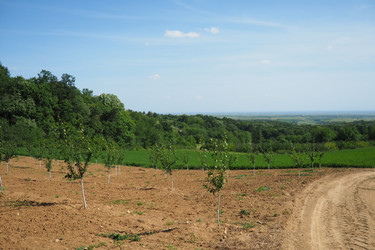 Similar image 21999364