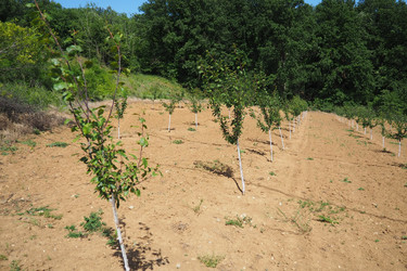 Similar image 21999365