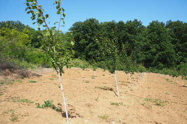 Similar image 21999366