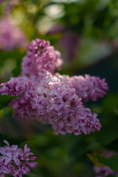 Similar image 22017470