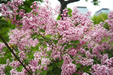 Similar image 21999306