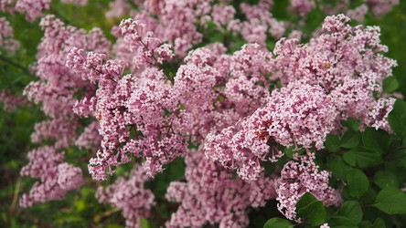 Similar image 21999307