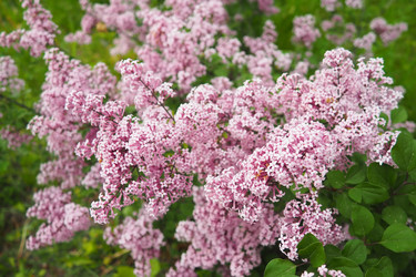 Similar image 21999308